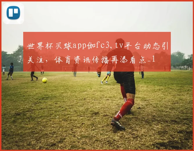 世界杯买球app伽fc3,tv平台动态引关注,体育资讯传播再添看点_1