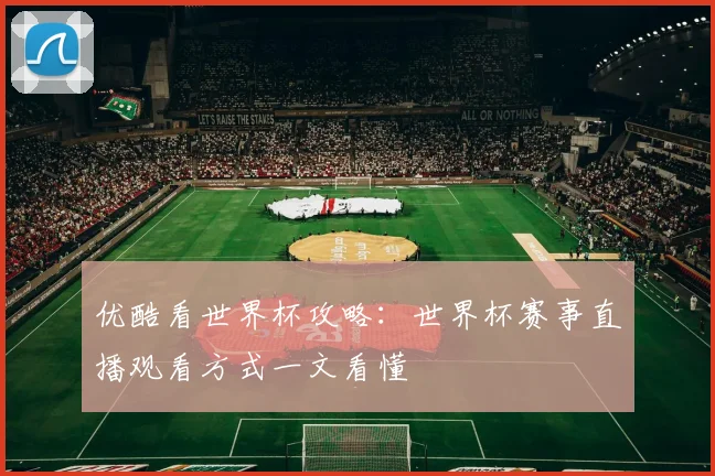 优酷看世界杯攻略:世界杯赛事直播观看方式一文看懂