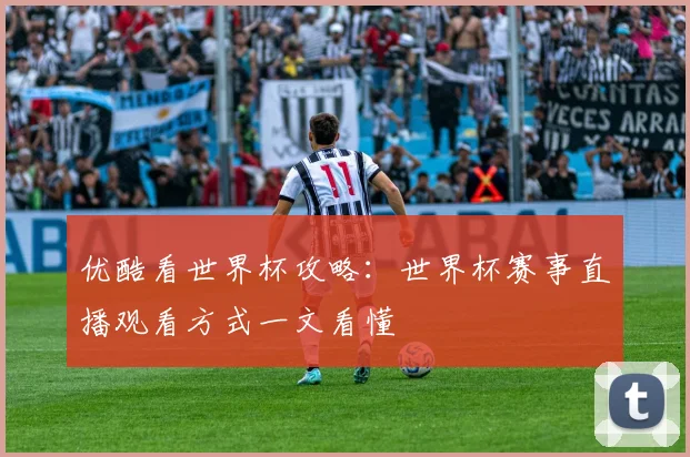 优酷看世界杯攻略:世界杯赛事直播观看方式一文看懂