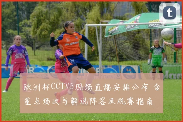 欧洲杯CCTV5现场直播安排公布 含重点场次与解说阵容及观赛指南